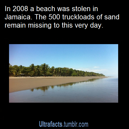 ultrafacts:  kissmeandleave:  ultrafacts:  Source For more posts like this, CLICK HERE to follow Ultrafacts   Phineas and Ferb must have something to do with this.  “IM TELLING MOM”