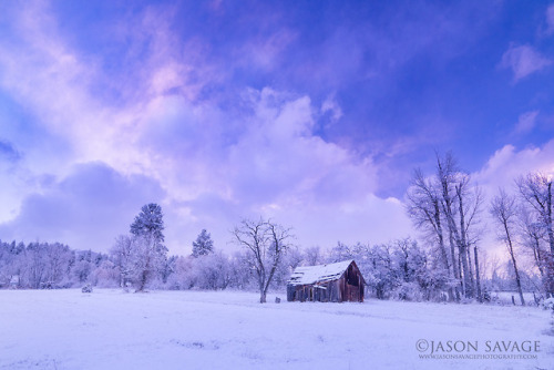 jasonsavagephoto:Winter in Montana’s Bitterroot Valley. 