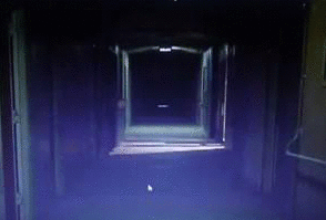 sixpenceee:  sixpenceee:  sixpenceee:  since more interactive horror stories were requested after the popularity of annie96 is typing Take this lollipop is an interactive horror story. what makes it unique is the fact that YOU’RE the victim. You connect