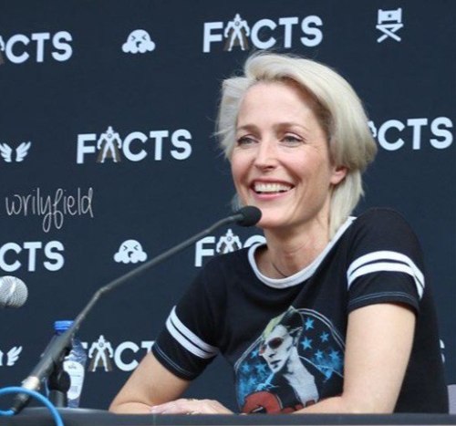 i-still-want–to-believe: Gillian Anderson - Facts Convention panel - April 7, 2018 (x) I&rsquo;m sor
