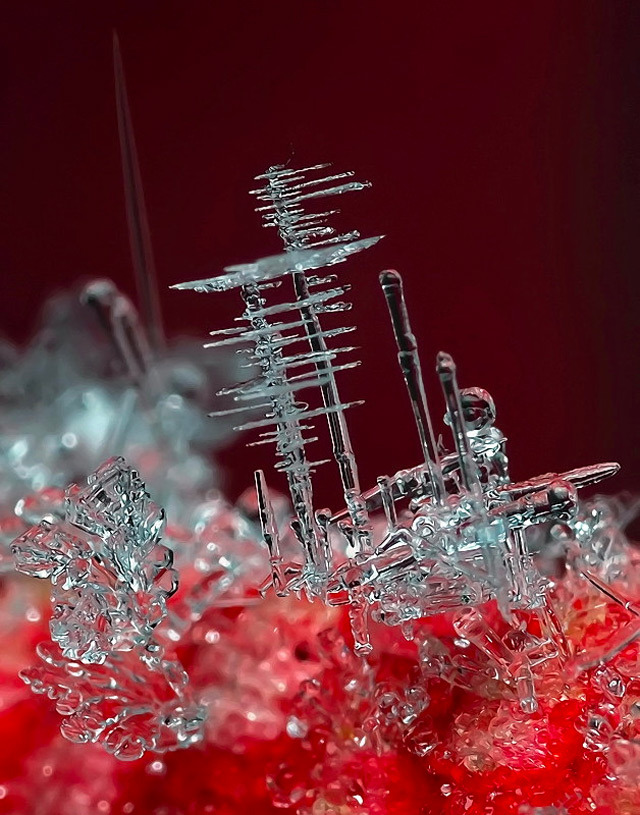 opticallyaroused:  Snowflake