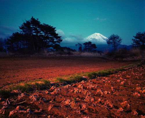 © Chris Steele-Perkins, 2000, Fields near Kawaguchiko, Yamanashi, Japan » find more of Magnum Photos