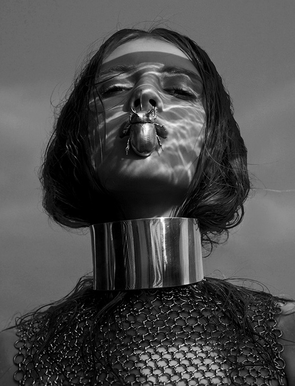 noir43