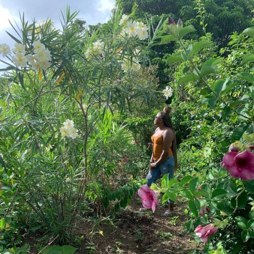 Secret garden. #niggaimonvacation  www.instagram.com/p/B1pMVepAbo8/?igshid=almpoeus3hki