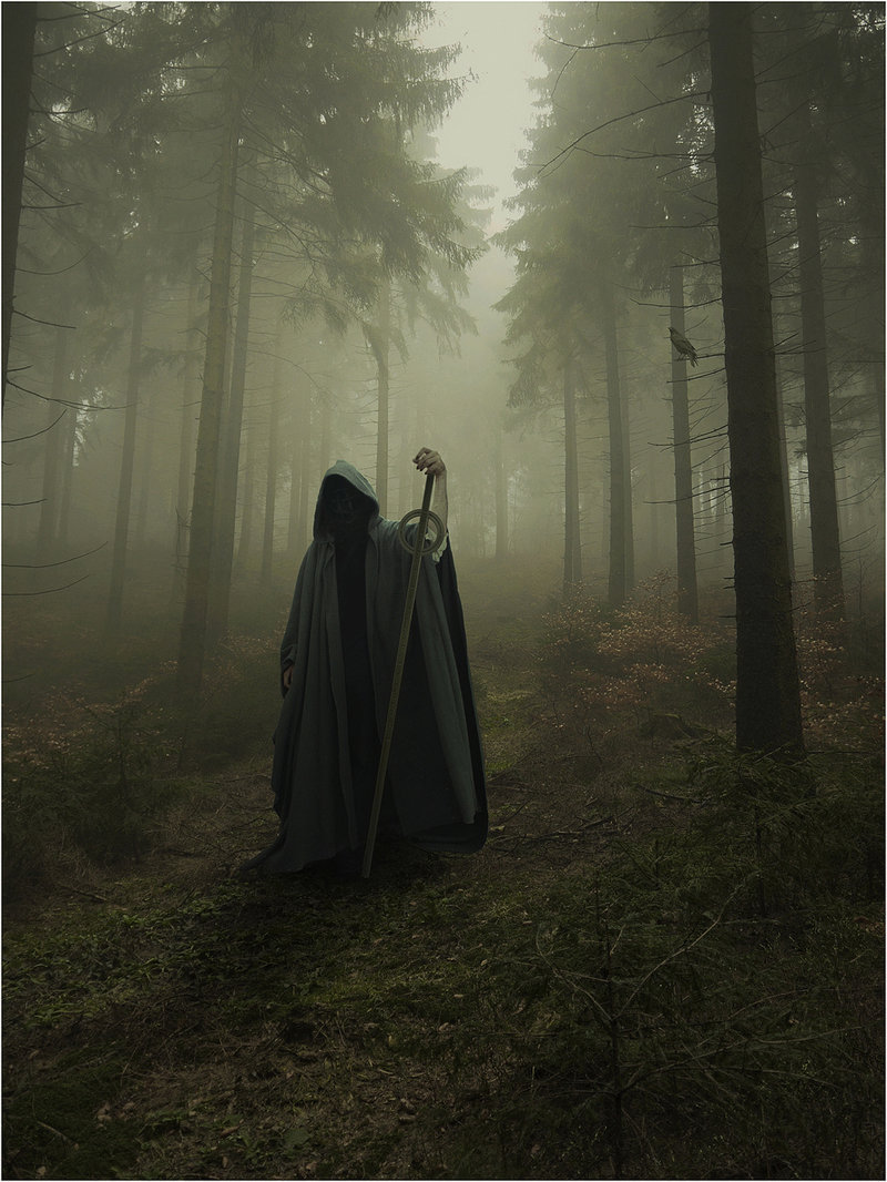 mererecorder:  Tales From Eastern Woods Part IV by SHUME-1 