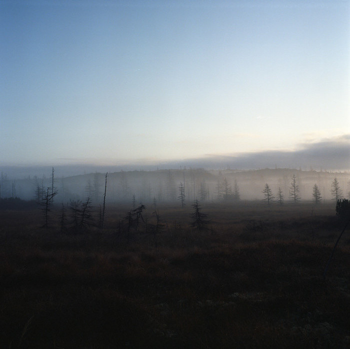 5centsapound:  Olya Ivanova: Sakhalin, masters of Spirit Nivkh and Uilta (or Orok),