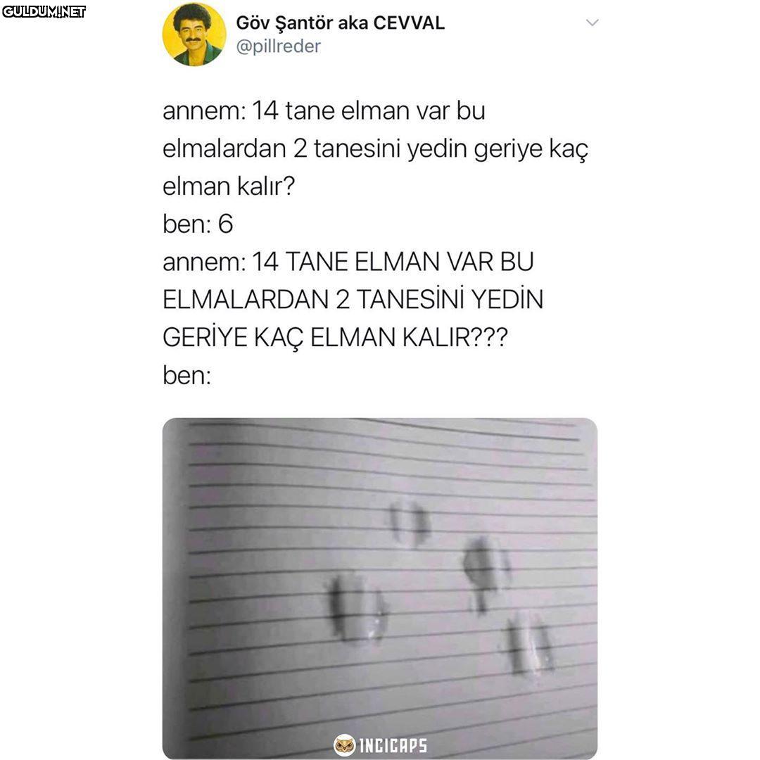 Göv Şantör aka CEVVAL...