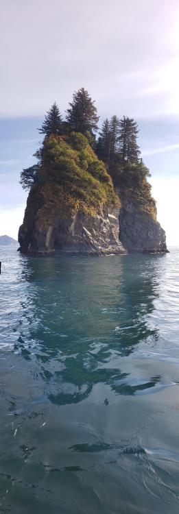 oneshotolive: On the Kenai Fjords out of Seward, AK (OC) [2064x5920] : Son_of_Godzilla