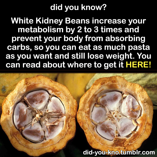 tommit99:  emmee93:  You can read about where to get White Kidney Beans here. Make