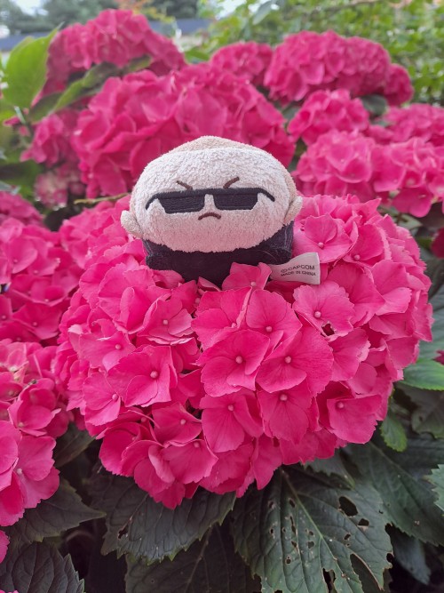Albert Tsum Enjoying Some Flowers