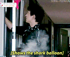 song-minguk:  I’m scared of Shark T__T 