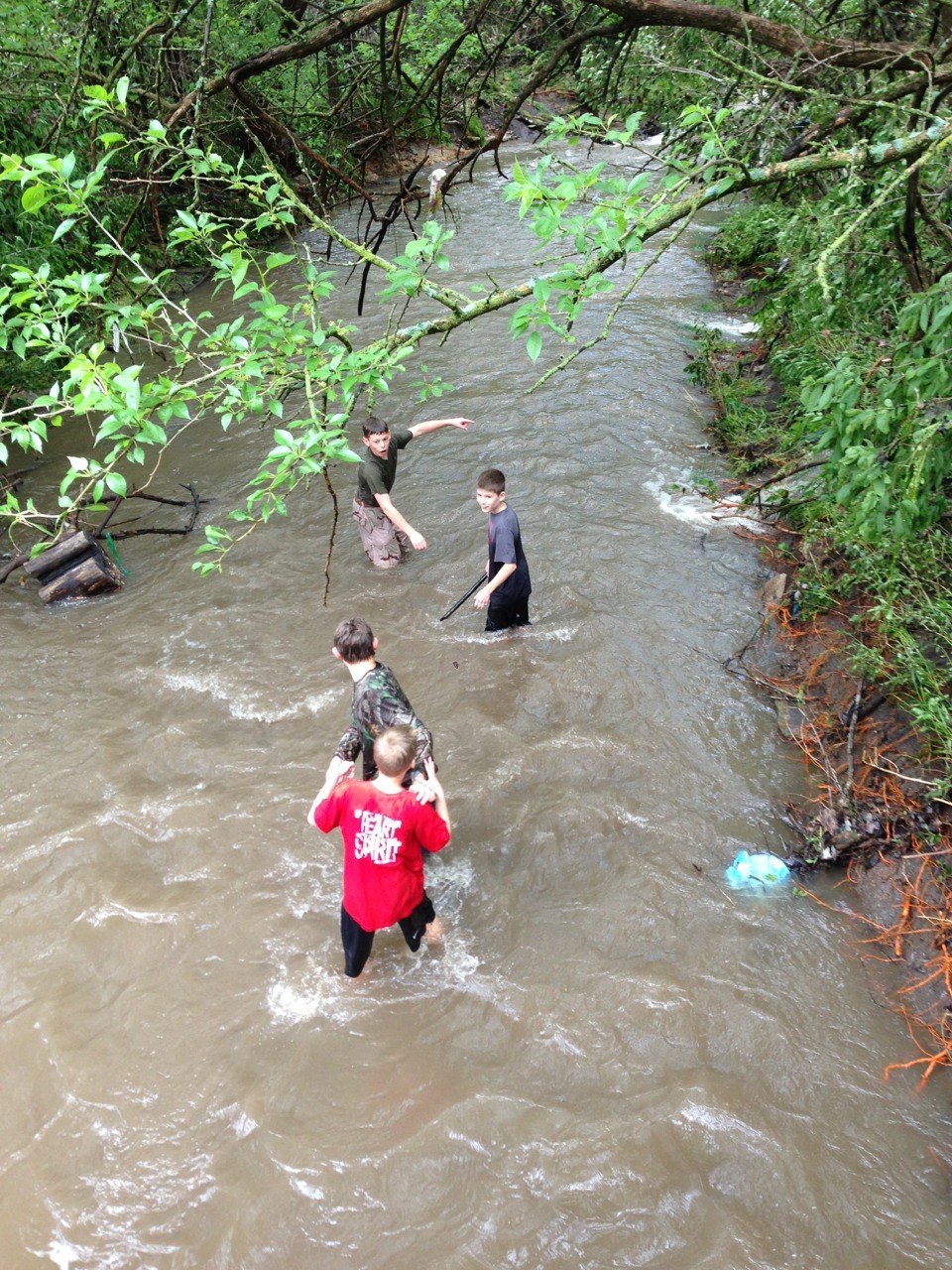 corsmos:  northerncubmn:  sleepswithteddy:  We got a lot of rain. The river by us