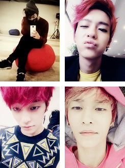 Porn  l.joe selca complication - requested by seoules photos