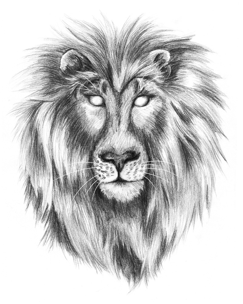 Our Art Corner on Tumblr: Creepy lion (pencil) (drawing by Red Furry Demon)  Four hours at school and poof! there's a lion.