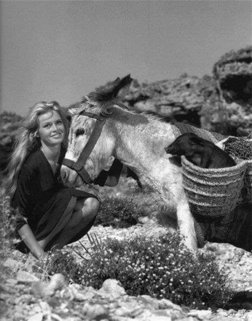 weirdlandtv:Brigitte Bardot.