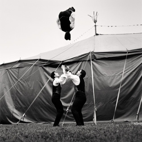 Andrew Shaylor - Circus.