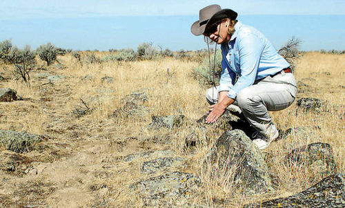 Archaeological News: 'It's Tragic' Officials bemoan damage to Oregon Trail