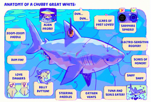 fabula-ultima - Anatomy of the king of seas - The Chubby Shark...