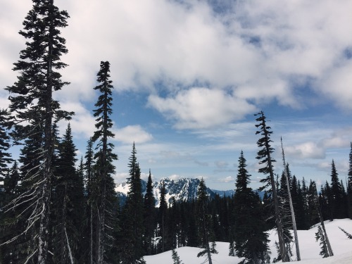 My parents and their friends wanted to go to Mount Rainier, so I tagged along with them. It was a go