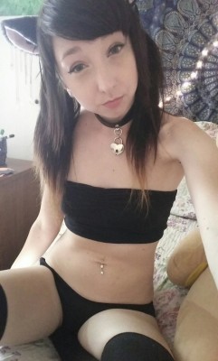 lissabunnyx:  Please master, let me be your pet. Use me as you see fit 