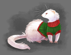 ninidoodles:  googling ferrets in sweaters was a wise decision   my kind~ &lt;3
