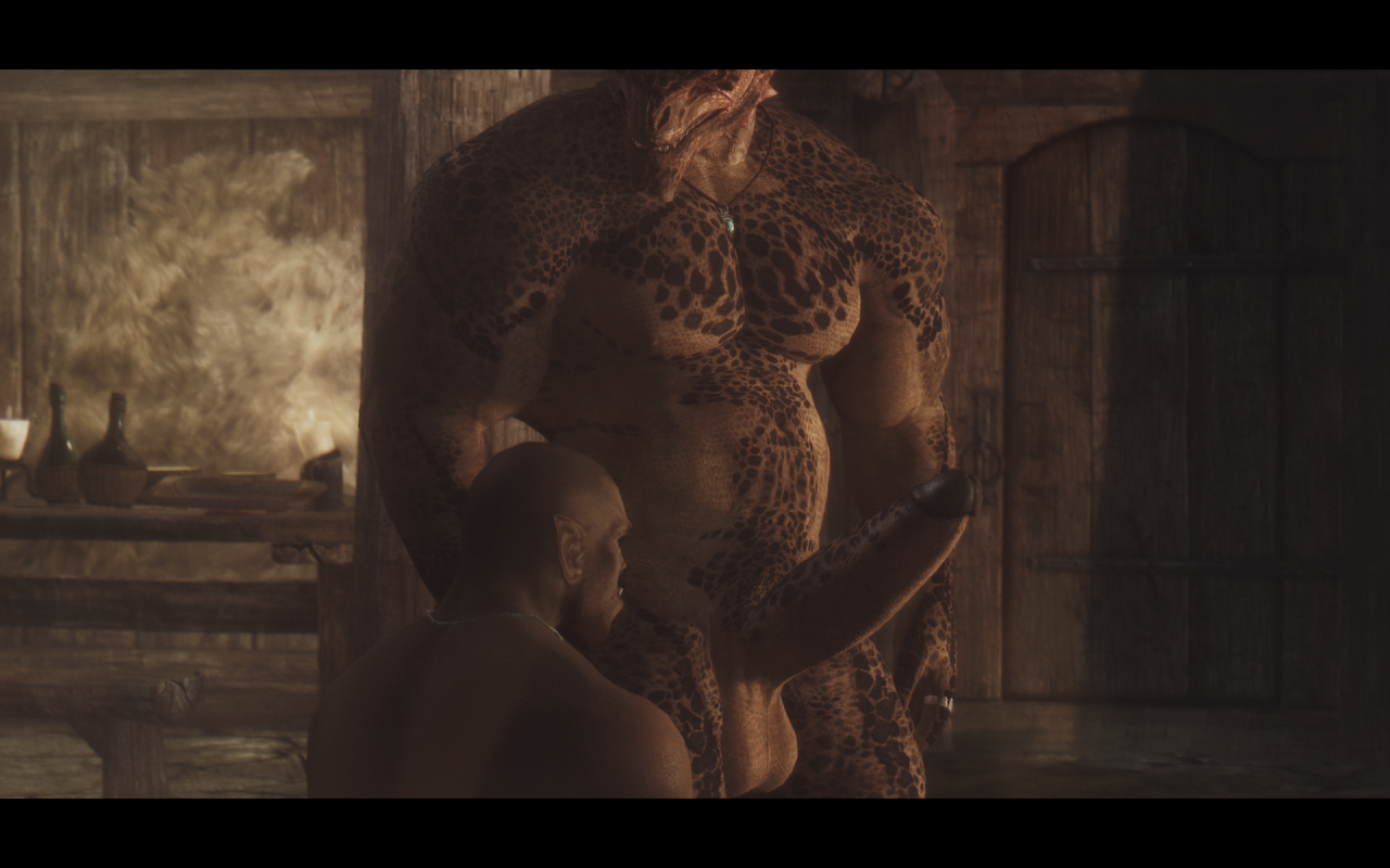 move-to-ipod:  personalchesschirebaconblog:  mrbonerswildride:  beastracesftw:  Skyrim