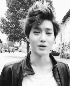pandreos:  that hair 