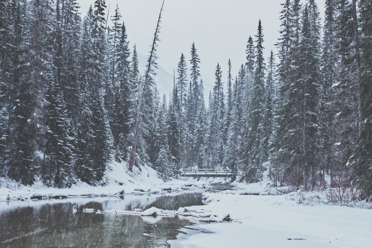 man-and-camera:  River in the Rockies ➾ Luke GramInstagram: @lukegram