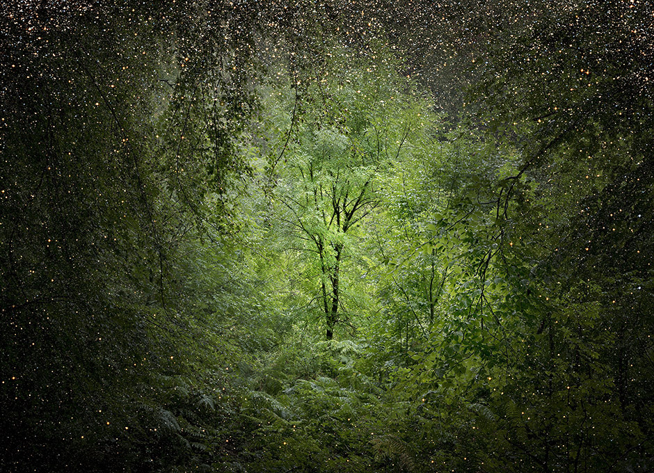 davidesky2:  by Ellie Davies, via Beautiful/Decay.