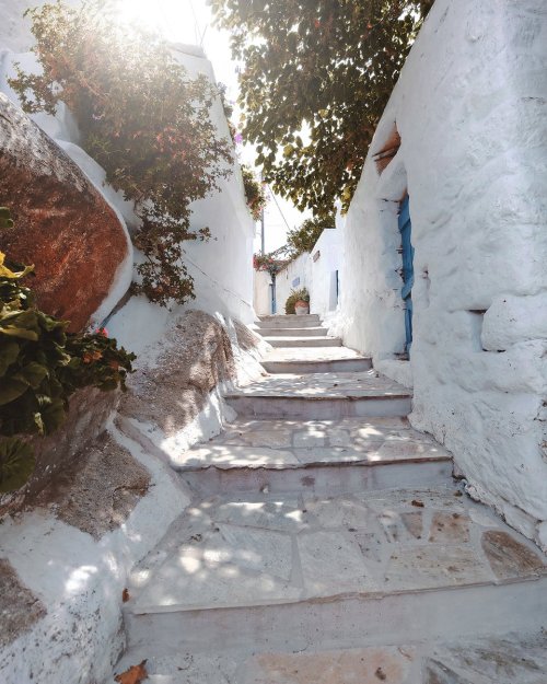 gemsofgreece:Alley in Tinos, Greece by Dimitrios