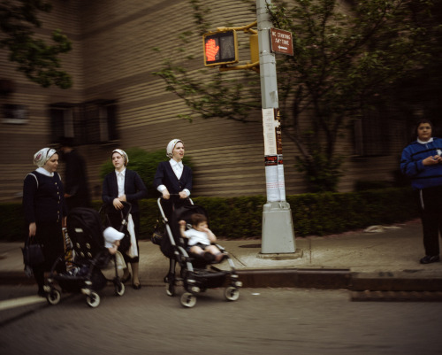 Pram Ladies [Brooklyn, NYC, USA, 2014]