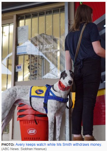Racing dog finds new life treating mental illness