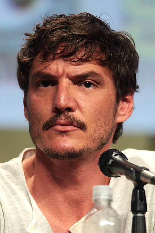 pascalsky:Pedro Pascal speaking at the 2014 SDCCPhotographed by Gage Skidmore