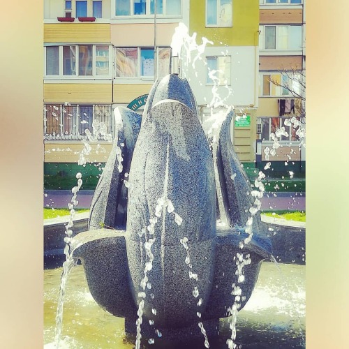 #фонтан #вода #брызгиводы #синеенебо #маленькоеоблачко #струи #тюльпан #бризкиводи #маленькахмарка #
