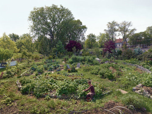 Detroit, Michigan, USAPhoto by Dave Jordano“Andrew Harvesting in His Garden, Farnsworth Street