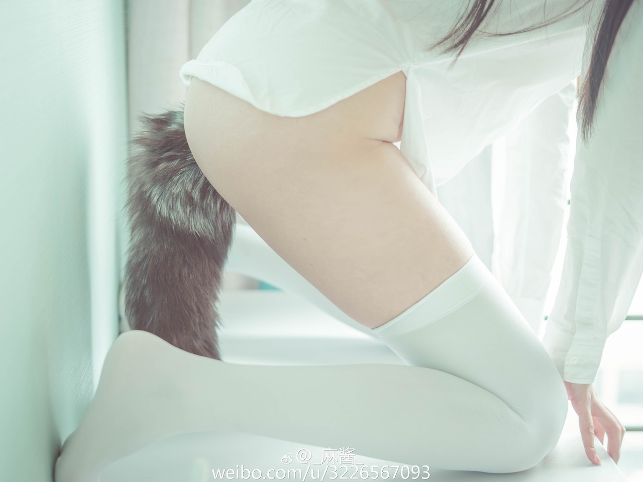 tail fetish