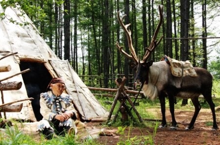 Maria is the tribal leader of the only reindeer tribe left in China