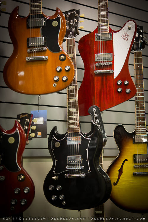 deebeeus:All You Need is LEFT,  Left is all you need.Tuesday/Thursday guitar shopping this week at L