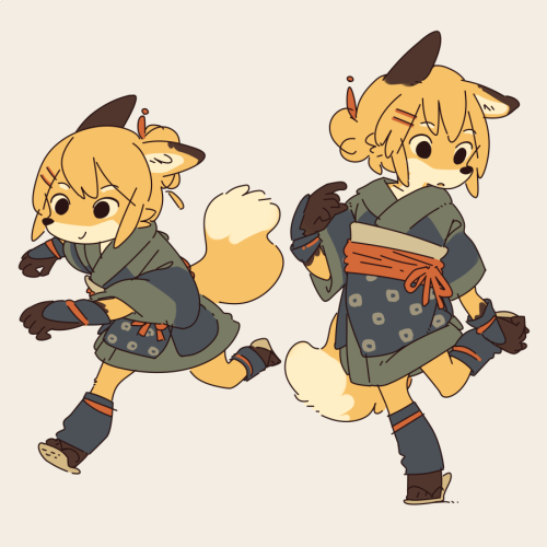 s1120411:Little fox