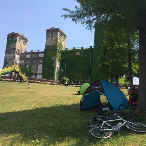 hm7: 廃墟萌えな家族連れ自転車乗りの正しいピクニック。 (根岸競馬場一等観覧席跡地 - 根岸森林公園)