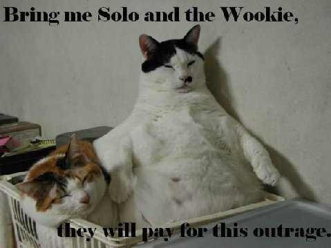seananmcguire: sophiaslittleblog:  tzikeh:  owl-librarian:  sasgalula:  coolcatgroup: