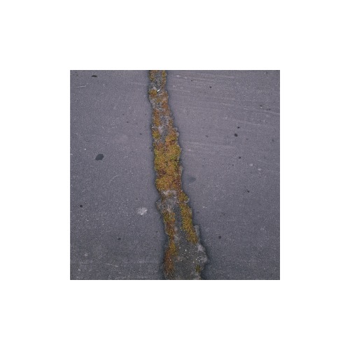 | Le Strade Catanesi |