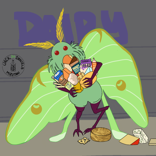 a mothman based on a green Luna moth looks up guiltily, his arms full of various cheese products.