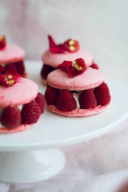 sweetoothgirl:  Pretty Macarons💜 (Recipes 1, 2, 3, 4, 5, 6, 7, 8, 9, 10) 
