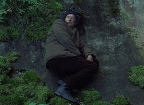 Stalker | Andrei Tarkovsky | 1979