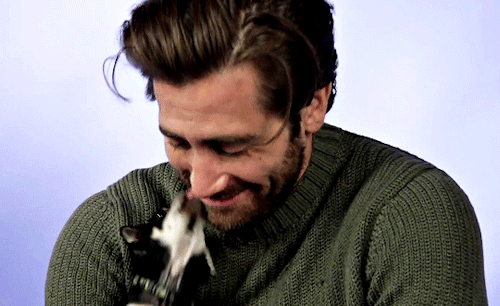 isbinary: Jake Gyllenhaal Plays With Puppies