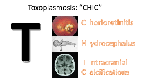 TORCH Mnemonics