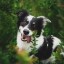 goodgirllin-blog