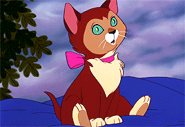 filmgifs:Alice in Wonderland (1951) dir. Clyde Geronimi, Wilfred Jackson, Hamilton Luske