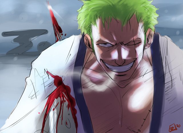 #zoro vs killer on Tumblr